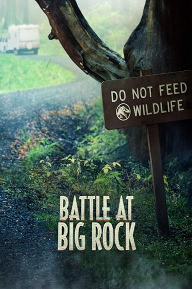 Poster Battle at Big Rock