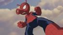Anteprima Spider-Pork