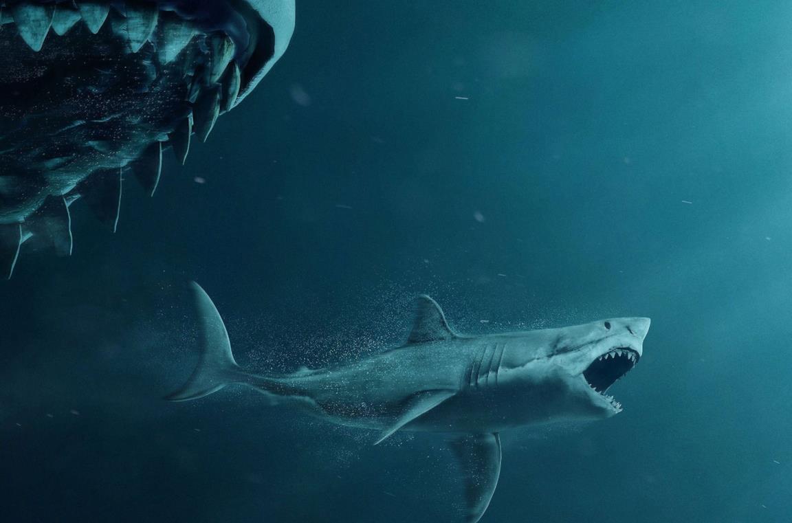 Shark Il Primo Squalo Streaming Il Genio Dello Streaming