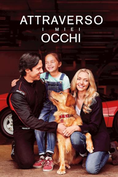 Poster Attraverso i miei occhi
