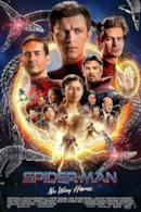 Poster Spider-Man: No Way Home