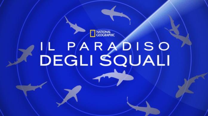 Il paradiso degli squali Il paradiso degli squali
