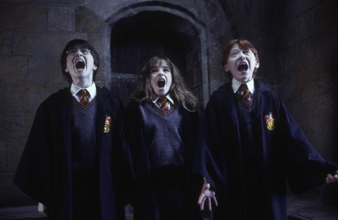 I protagonisti di Harry Potter