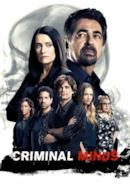 Stagione 12