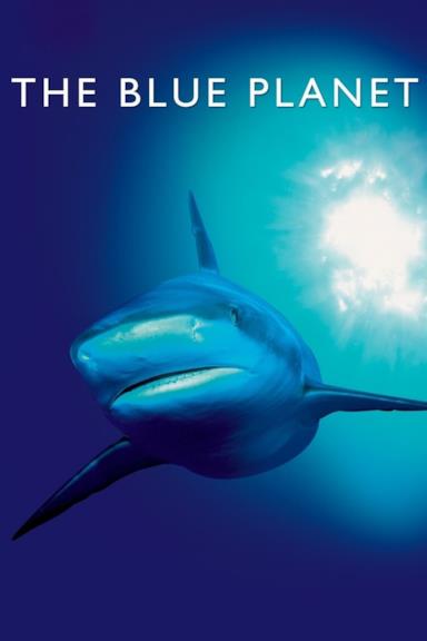 Poster Pianeta Blu