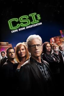 Poster CSI: Scena del crimine