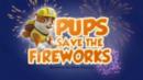 Anteprima I cuccioli salvano i fuochi d'artificio