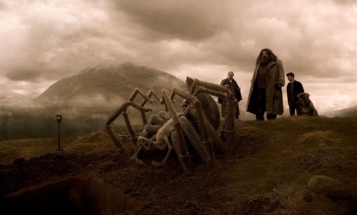 Il funerale di Aragog Lumacorno, Harry ed Hagrid assistono al funerale di Aragog di fronte alla sua gigantesca carcassa