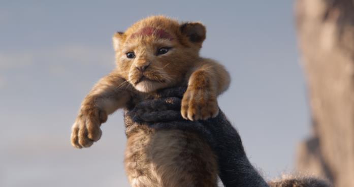 Il piccolo Simba