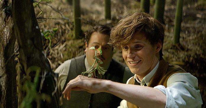 Asticello in Animali Fantastici Una delle creature fantastiche di Scamander nel film