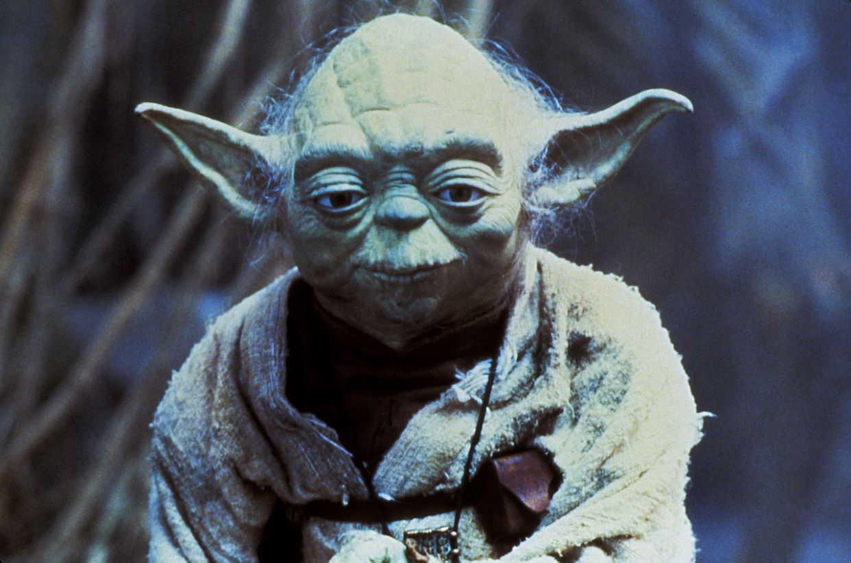Star Wars: di che specie è Yoda? Ipotesi e curiosità