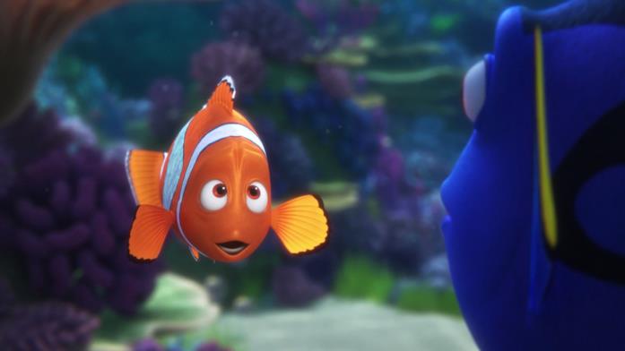 Pesce Nemo Nemo