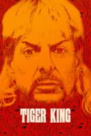 Poster Tiger King