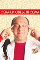 Poster C'era un cinese in coma