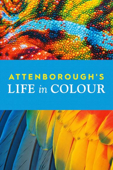 Poster David Attenborough: la vita a colori