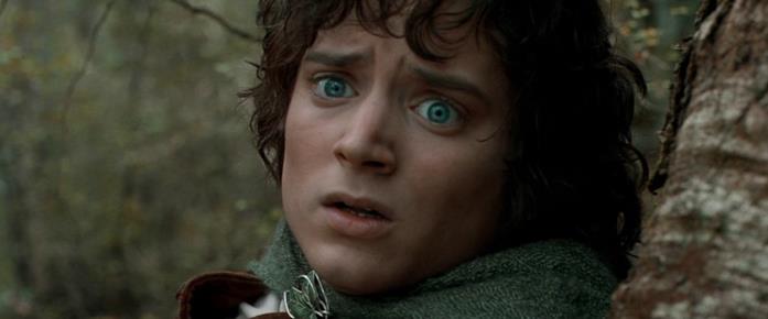 Frodo è il protagonista della trilogia Frodo è un personaggio coraggioso e integro