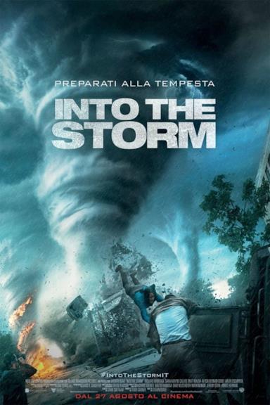 Poster Into the Storm