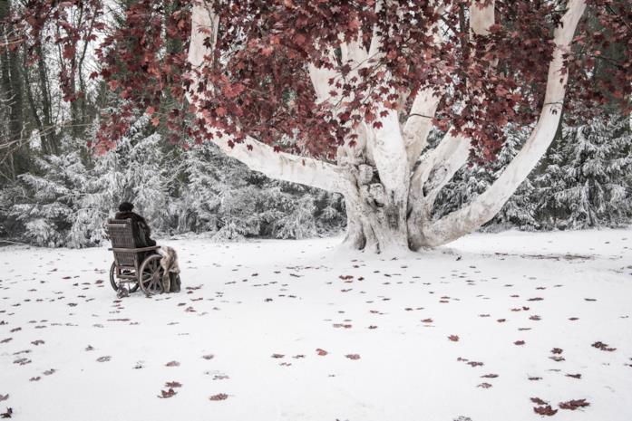 GoT 8: Bran nel Parco degli Dei GoT 8: Bran nel Parco degli Dei a Grande Inverno