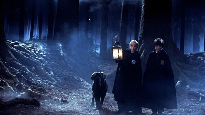 Harry e Draco nel bosco