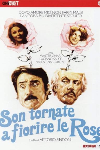 Poster Son tornate a fiorire le rose