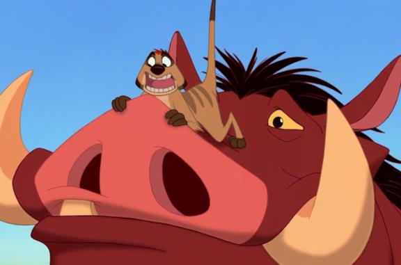 Pumba E Timon Che Animali Sono