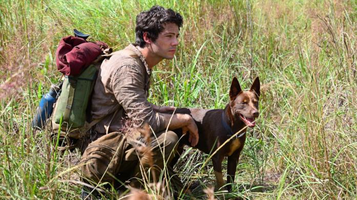 Love and Monsters Un immagine dal film Love and Monsters