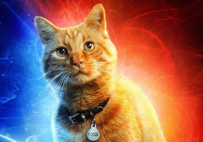 Character poster di Captain Marvel dedicato a Goose