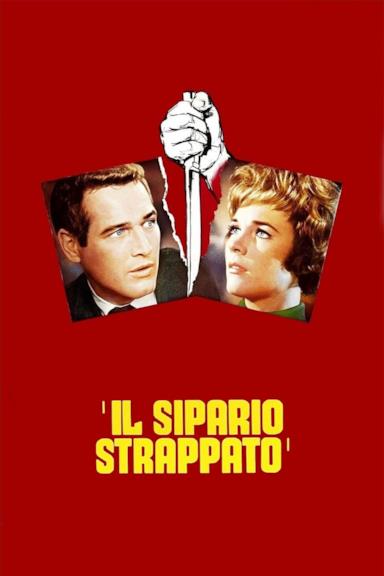 Poster Il sipario strappato