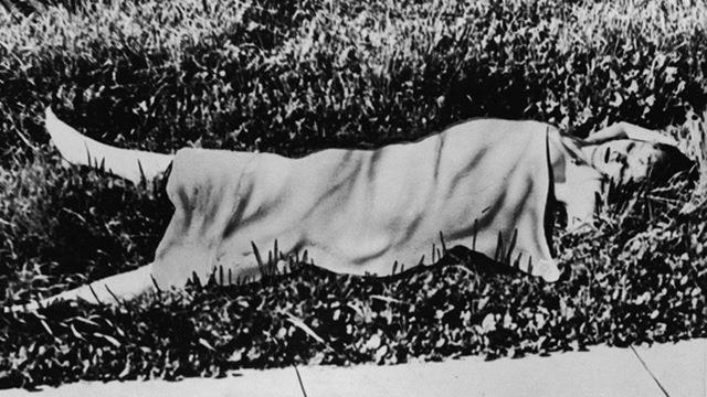 Elizabeth Short Elizabeth Short morta