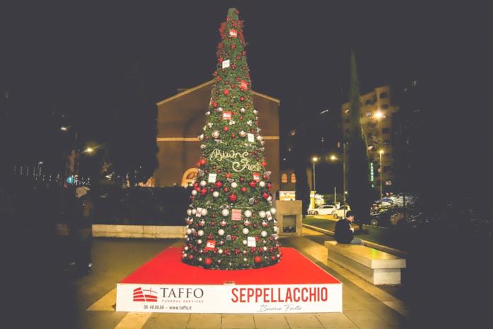 Seppellacchio, l'albero di Natale di Taffo a Roma