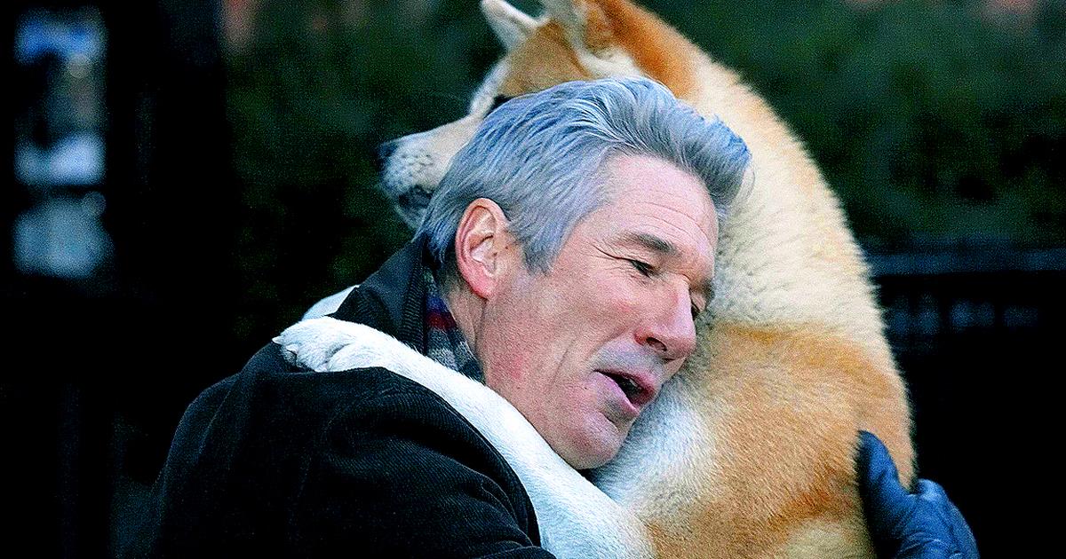 Che Razza è Il Cane Del Film Hachiko