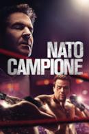 Poster Nato campione