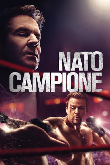 Poster Nato campione