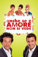 Poster Anche se è amore non si vede