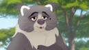 Anteprima Mama Binturong