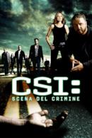 Poster CSI: Scena del crimine