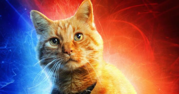 Il gatto Goose protagonista del film Captain Marvel