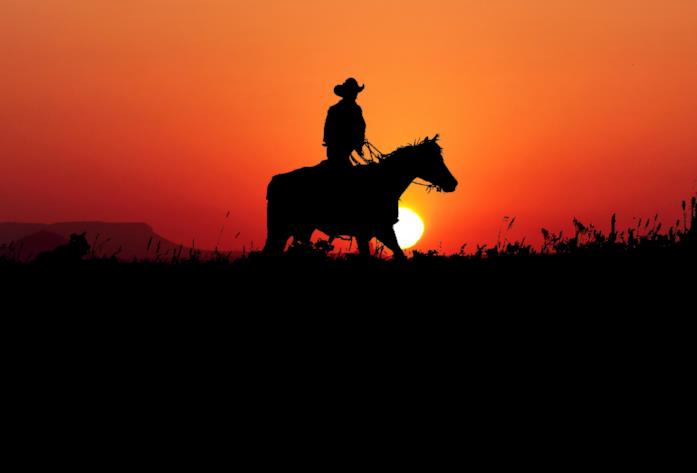 Un cowboy a cavallo
