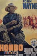 Poster Hondo