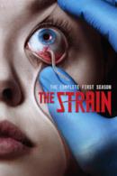 Stagione 1