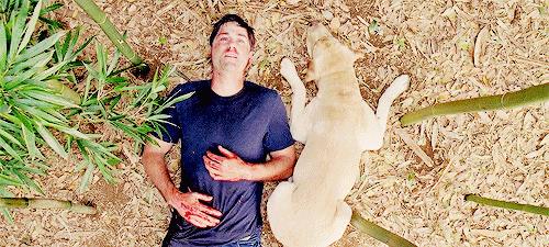 Jack muore accanto a Vincent che lo veglia Jack Shephard