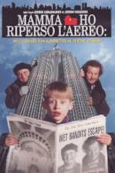 Poster Mamma, ho riperso l'aereo - Mi sono smarrito a New York