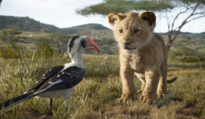Il re leone scena Il re leone, scena film