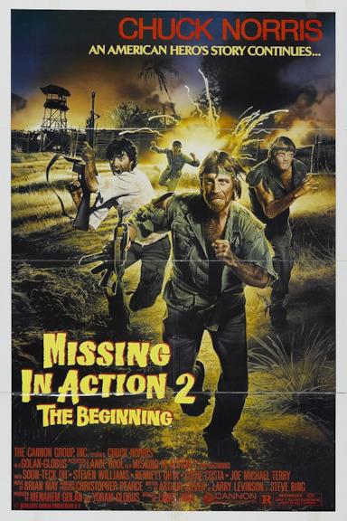 Poster Missing in Action