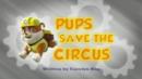 Anteprima I cuccioli salvano il circo