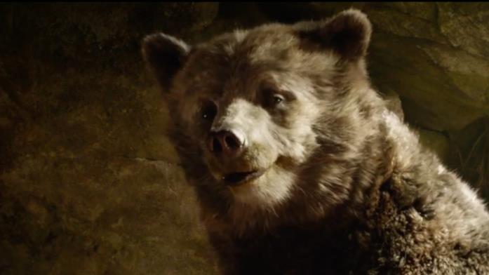 Baloo orso Baloo