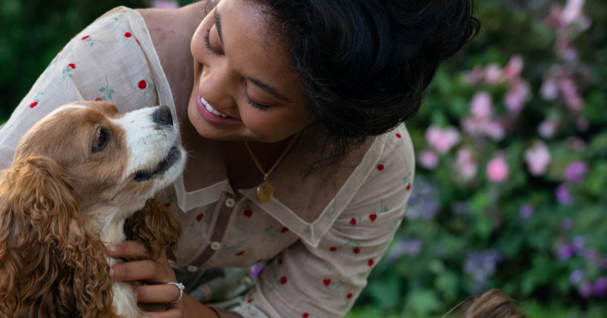 Lilli e il Vagabondo razza, storia e curiosità sui cani del film Disney+
