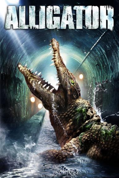 Poster Alligator