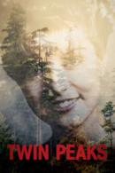 Poster I segreti di Twin Peaks