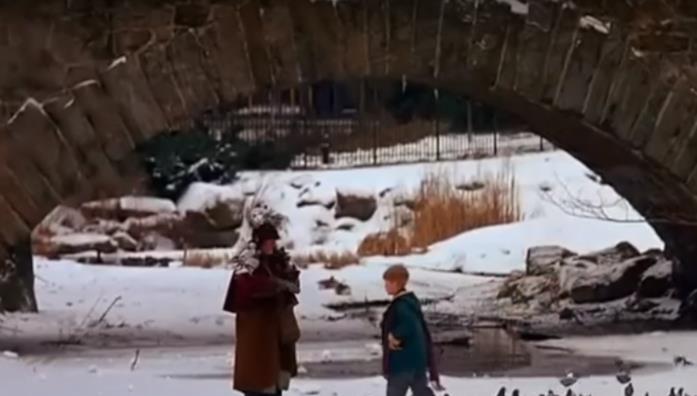 La scena finale di Mamma ho riperso l'aereo: mi sono smarrito a New York Central Park